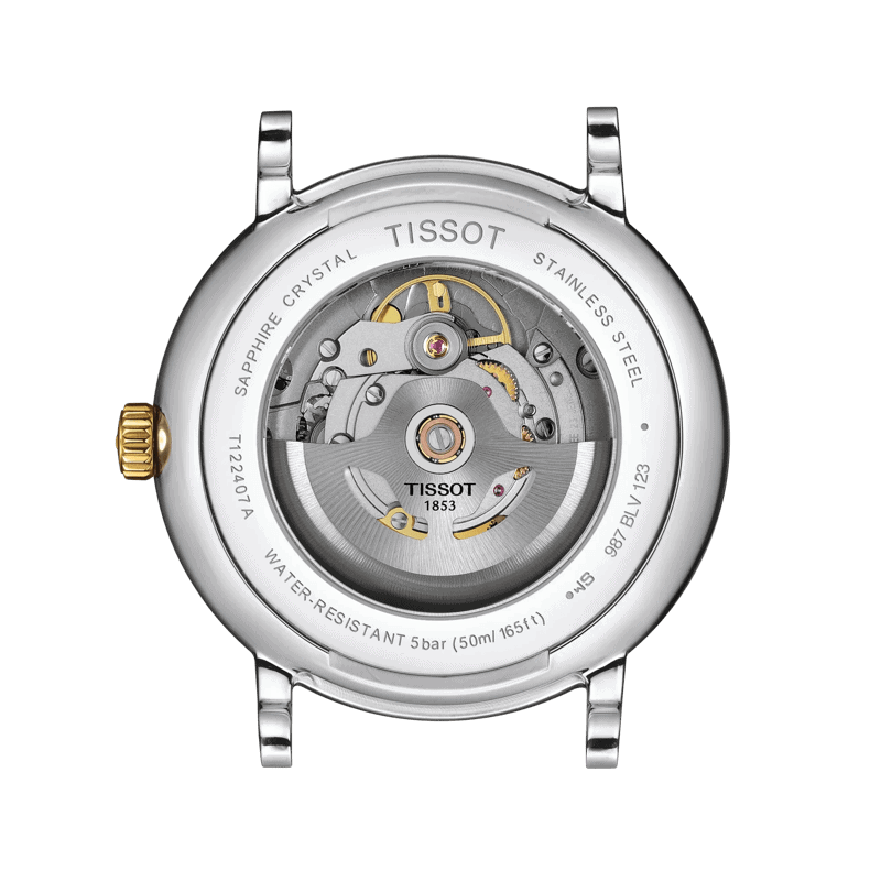 thearwatches_Reloj_Tissot_T122.407.22.031.00_1 Reloj Tissot Carson Premium Powermatic 80 T122.407.22.031.00