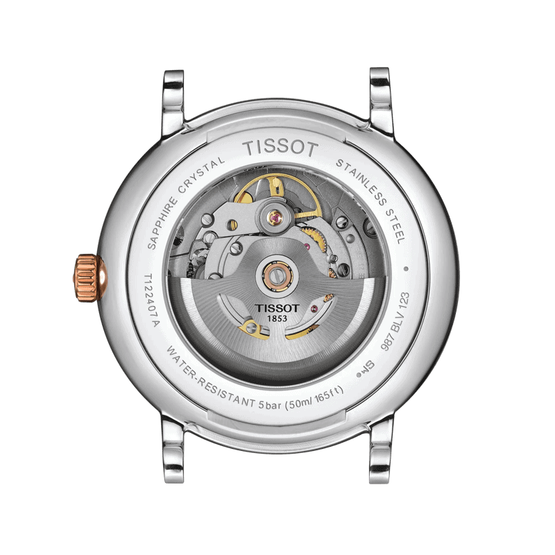 Reloj Tissot Carson Premium Powermatic 80 T122.407.22.031.01