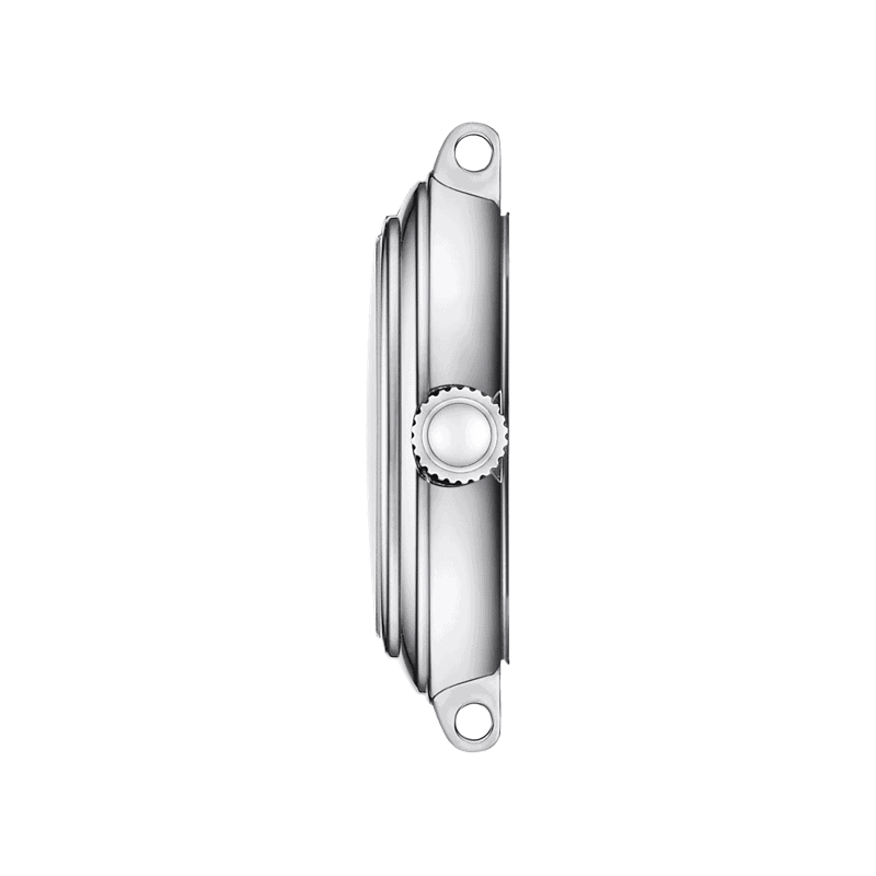 Reloj Tissot Bellissima Small Lady T126.010.11.133.00