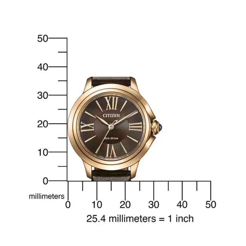 thearwatches-reloj-citizen-mid-43289_3 Reloj Citizen EM1163-09X Ladies Watch Eco-Drive L Ceci 32mm 5ATM