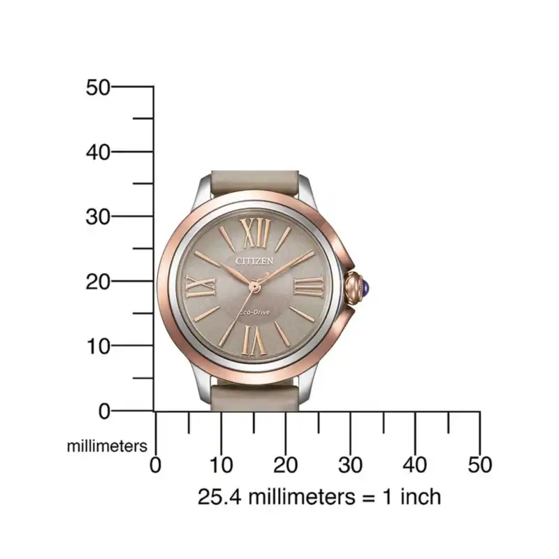 thearwatches-reloj-citizen-mid-43290_4 Reloj Citizen EM1166-01Z Ladies Watch Eco-Drive L Ceci 32mm 5ATM
