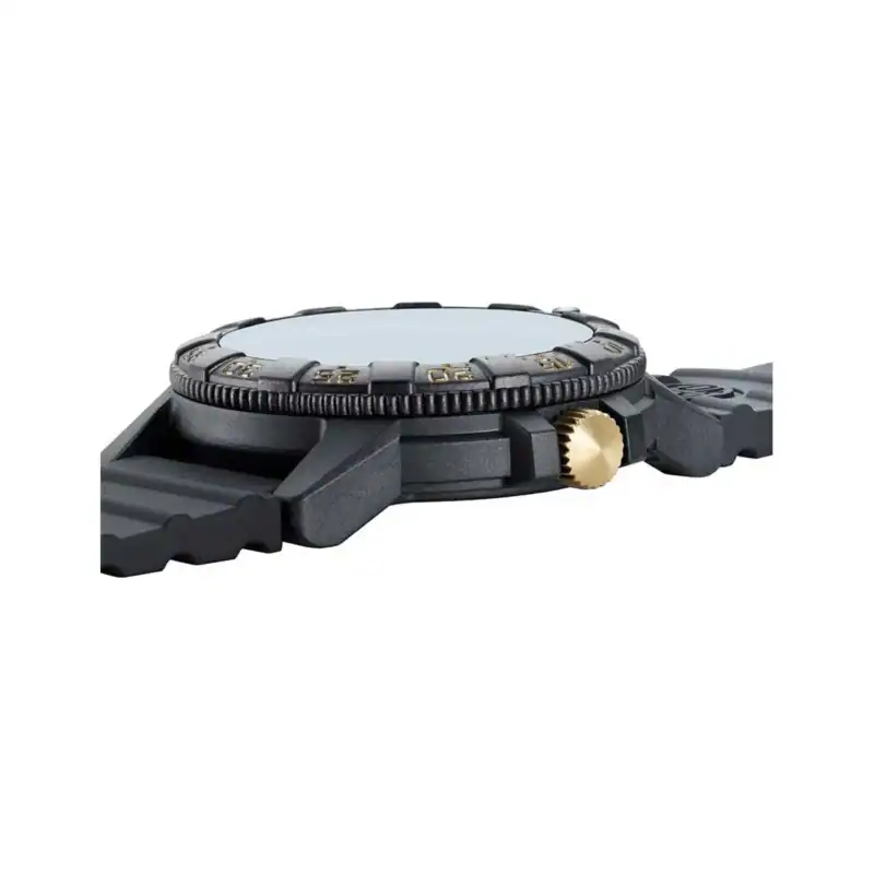 thearwatches-reloj-luminox-mid-42257_11 Reloj Luminox Leatherback Sea Turtle Giant XS.0325.GP 44mm