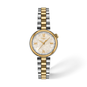 Reloj Tissot Desir 28mm T152.010.22.118.01